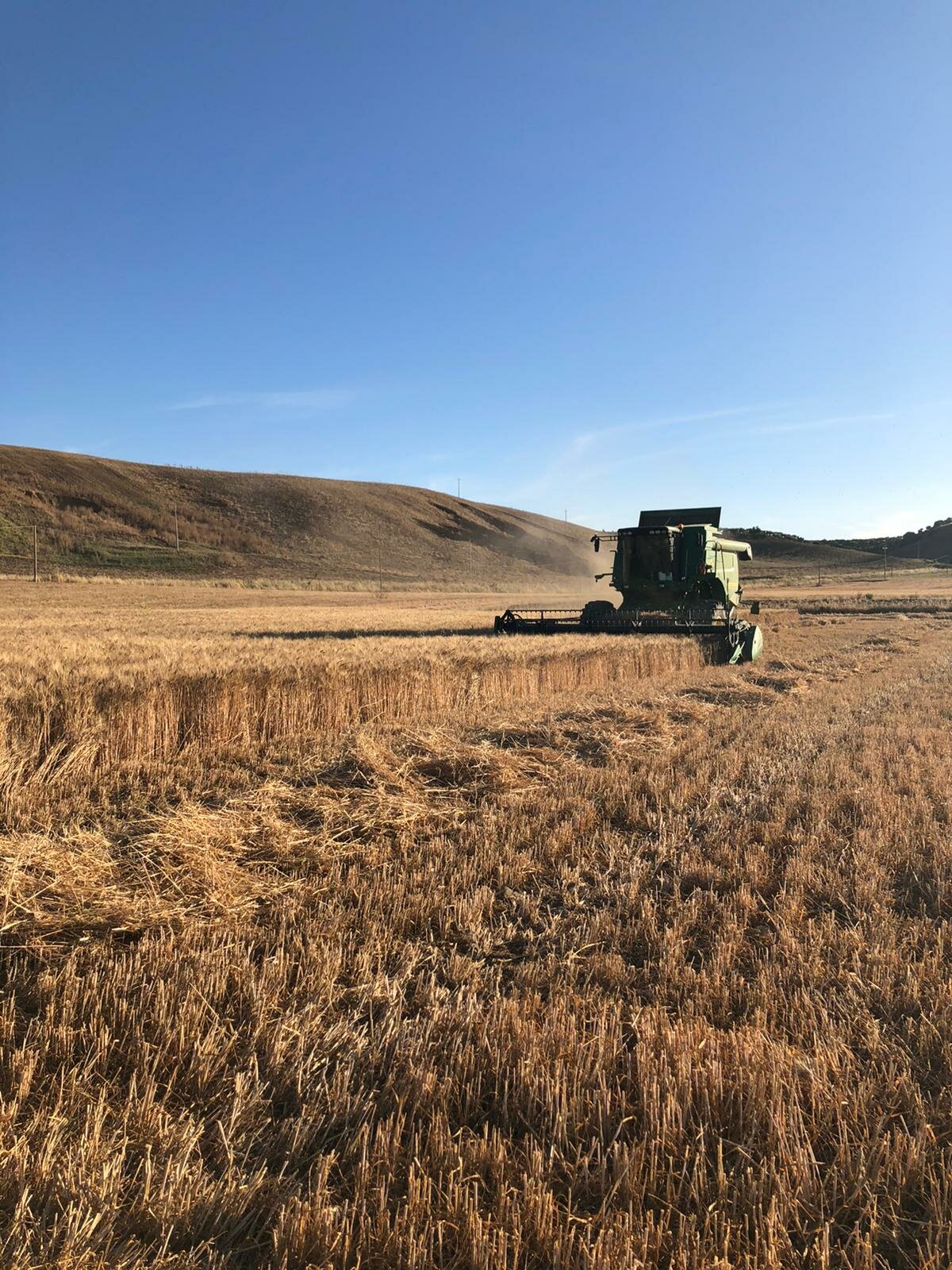 Agricoltura: al via le domande per il bando Isi-Inail