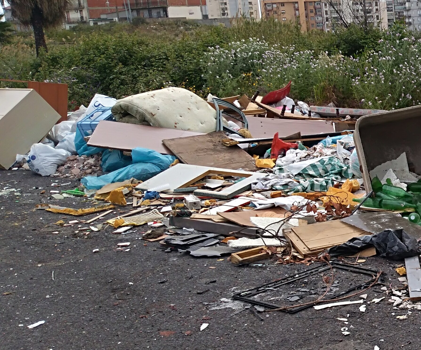 Catania invasa dai rifiuti, Ersilia Saverino: &ldquo;Solo gare, bandi e guardie ambientali non possono fermare l&rsquo;incivilt&agrave; di certa gente&rdquo;