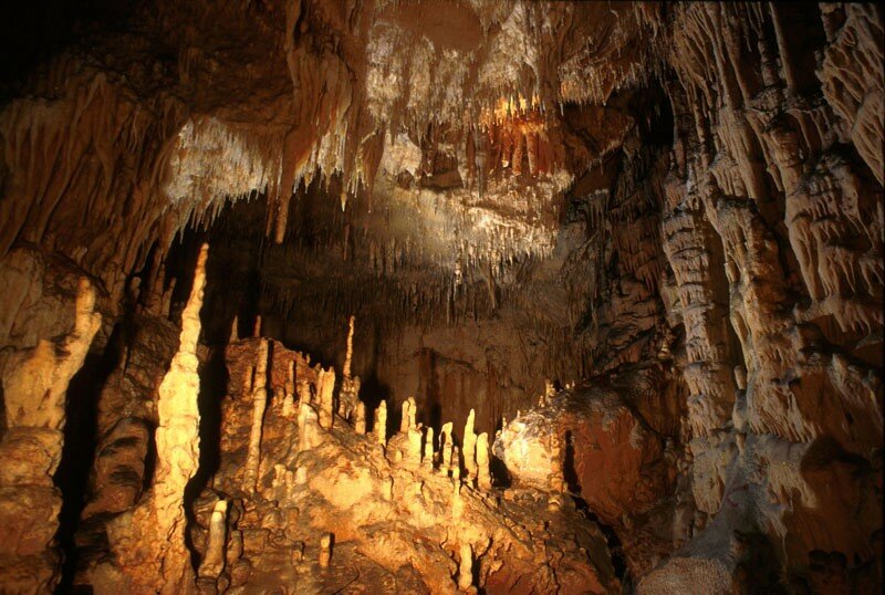 A Siracusa, dal 13 luglio porte aperte al Centro visite della riserva “Grotta Monello” e Museo del Carsismo Ibleo A Siracusa, dal 13 luglio porte aperte al Centro visite della riserva “Grotta Monello” e Museo del Carsismo Ibleo