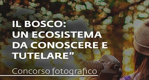 Salviamo i boschi, iscrizioni al via il 2 ottobre per la partecipazione al concorso fotografico, in premio​ un fantastico weekend