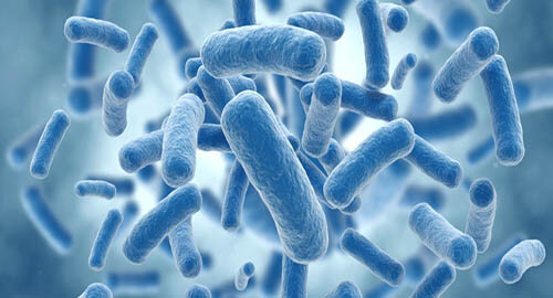 Allarme batteri resistenti agli antibiotici, cosa fare? I consigli dell'Aduc...