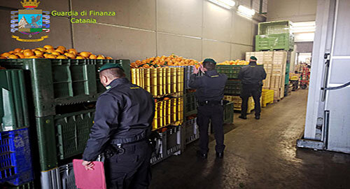 Controlli interforze nel settore agrumicolo, sanzionati 12 commercianti e sequestrate circa 36 tonnellate di arance