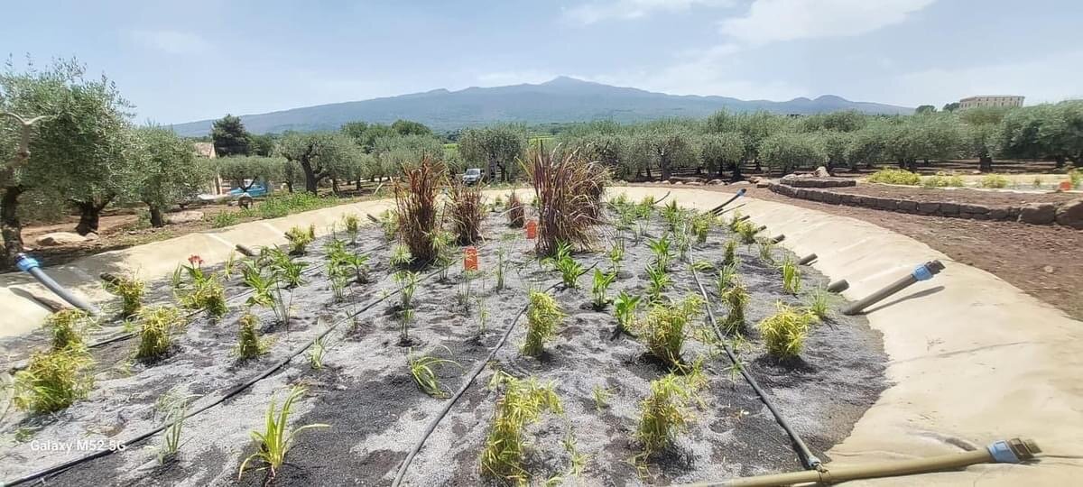 “Al-Cantàra, nuovo primato dell’ecosostenibilità” “Al-Cantàra, nuovo primato dell’ecosostenibilità”