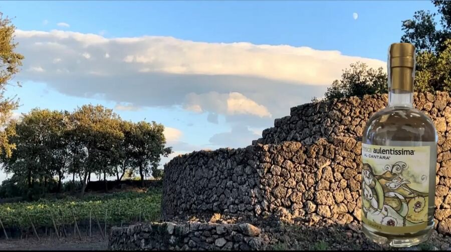 Una grappa siciliana si aggiudica la Gold Medal all’Alambicco D’Oro 2025 Una grappa siciliana si aggiudica la Gold Medal all’Alambicco D’Oro 2025