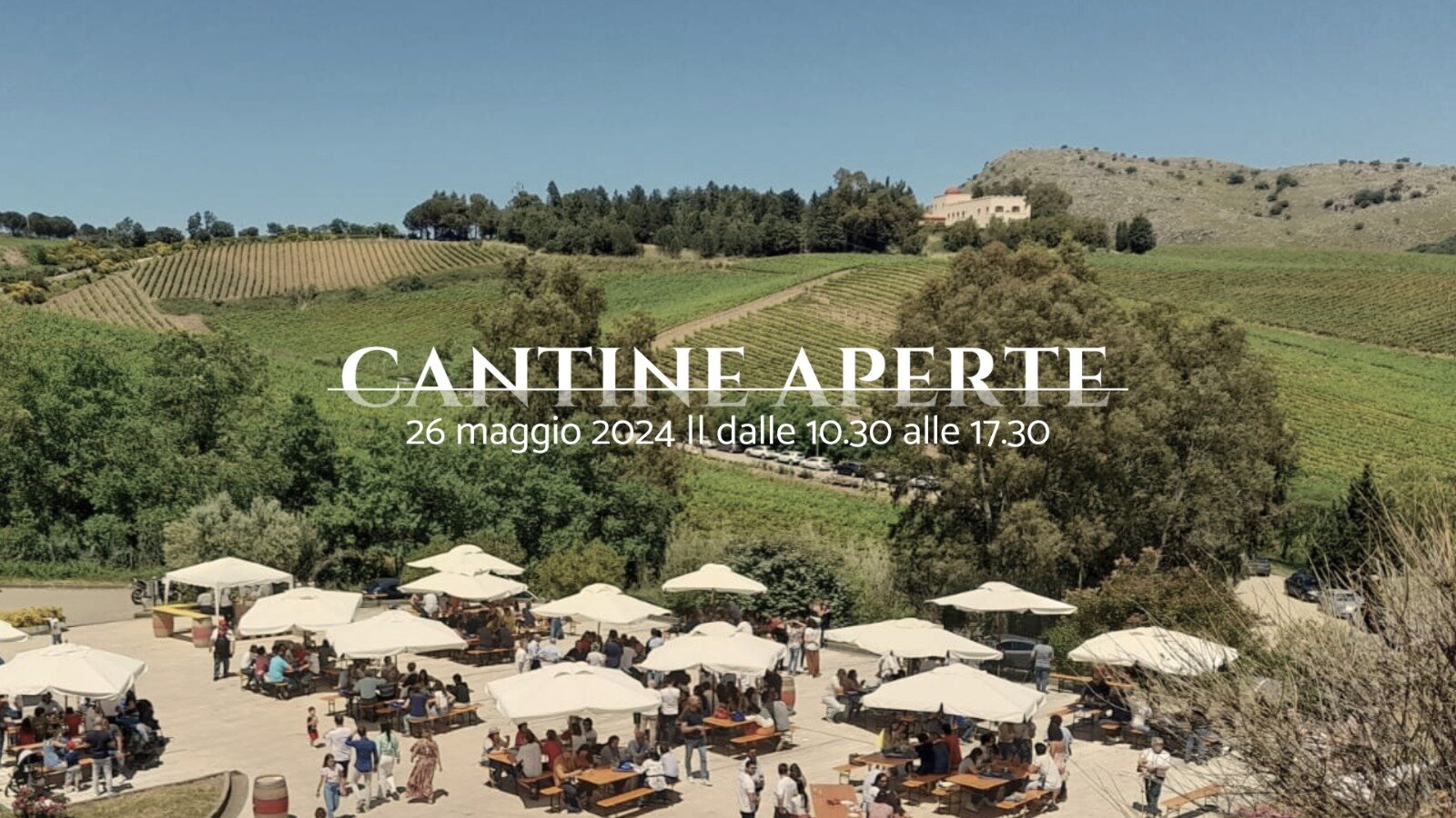 Cantine Aperte 2024: vino d'altura e rock'n'roll a Baglio di Pianetto