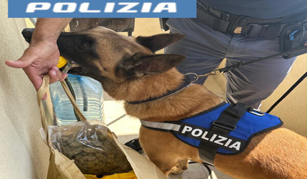 Blitz della Polizia di Stato in uno stabile di Librino, trovato quasi un chilo e mezzo di droga in uno scantinato