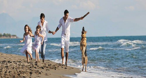 &ldquo;Pet Travel&rdquo;, primo portale di viaggi dedicato alle vacanze a sei zampe