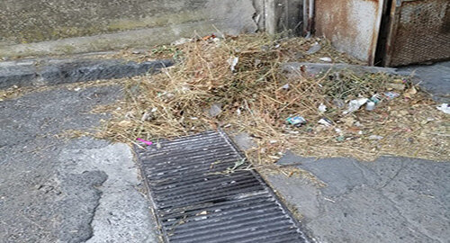 Potatura e cura verde incompleta in via Don Minzoni a San Giovanni Galermo