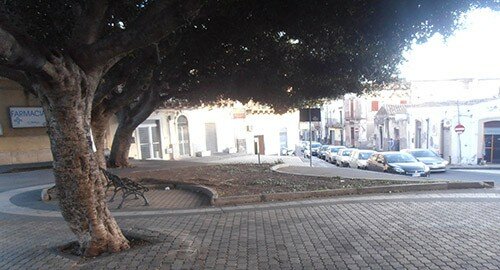 Caduta rami e rischio strage in piazza Bonadies e via Sebastiano Catania, si attendono interventi dell'Amministrazione Caduta rami e rischio strage in piazza Bonadies e via Sebastiano Catania, si attendono interventi dell'Amministrazione