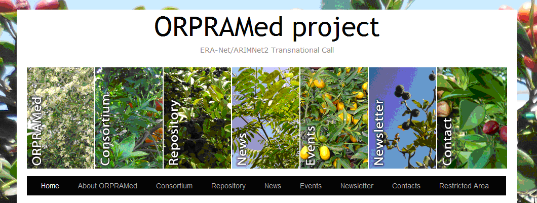 "Rischi per la filiera agrumicola associati al commercio di Rutaceae ad uso ornamentale nel bacino del Mediterraneo", convegno del&nbsp;Progetto ORPRAMed ad Acireale il&nbsp;17 luglio
