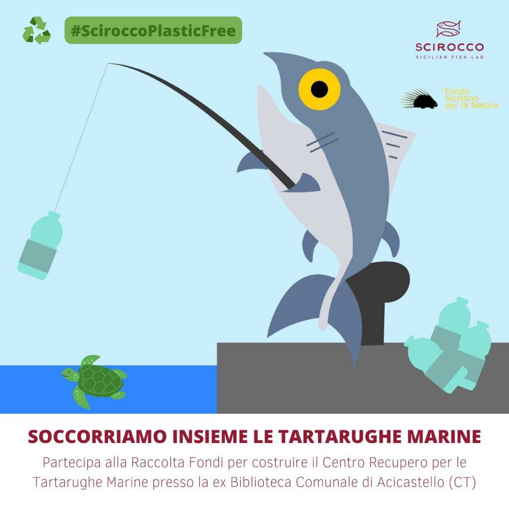 “Scirocco plastic free: in soccorso delle tartarughe” con una raccolta fondi “Scirocco plastic free: in soccorso delle tartarughe” con una raccolta fondi