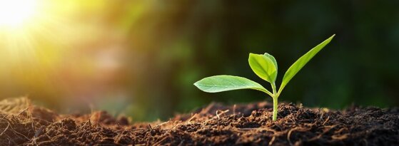 e95b2a5cba9c52c92f7f1ecf8c09748501852594