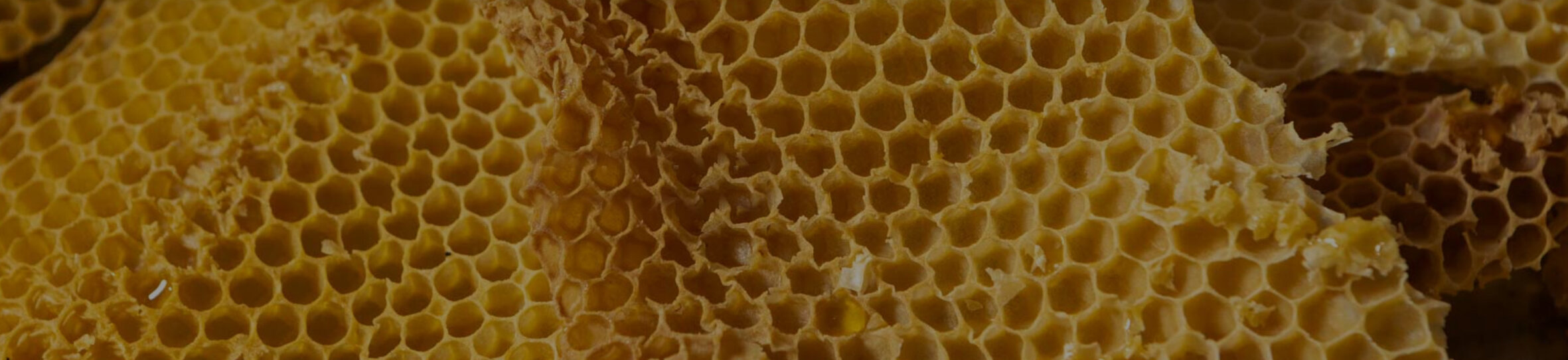 MIELE MADRETERRA