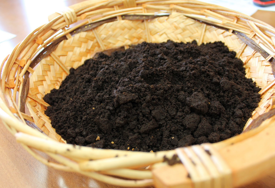 Usare i fondi del caff&egrave; nell&rsquo;orto o nel giardino