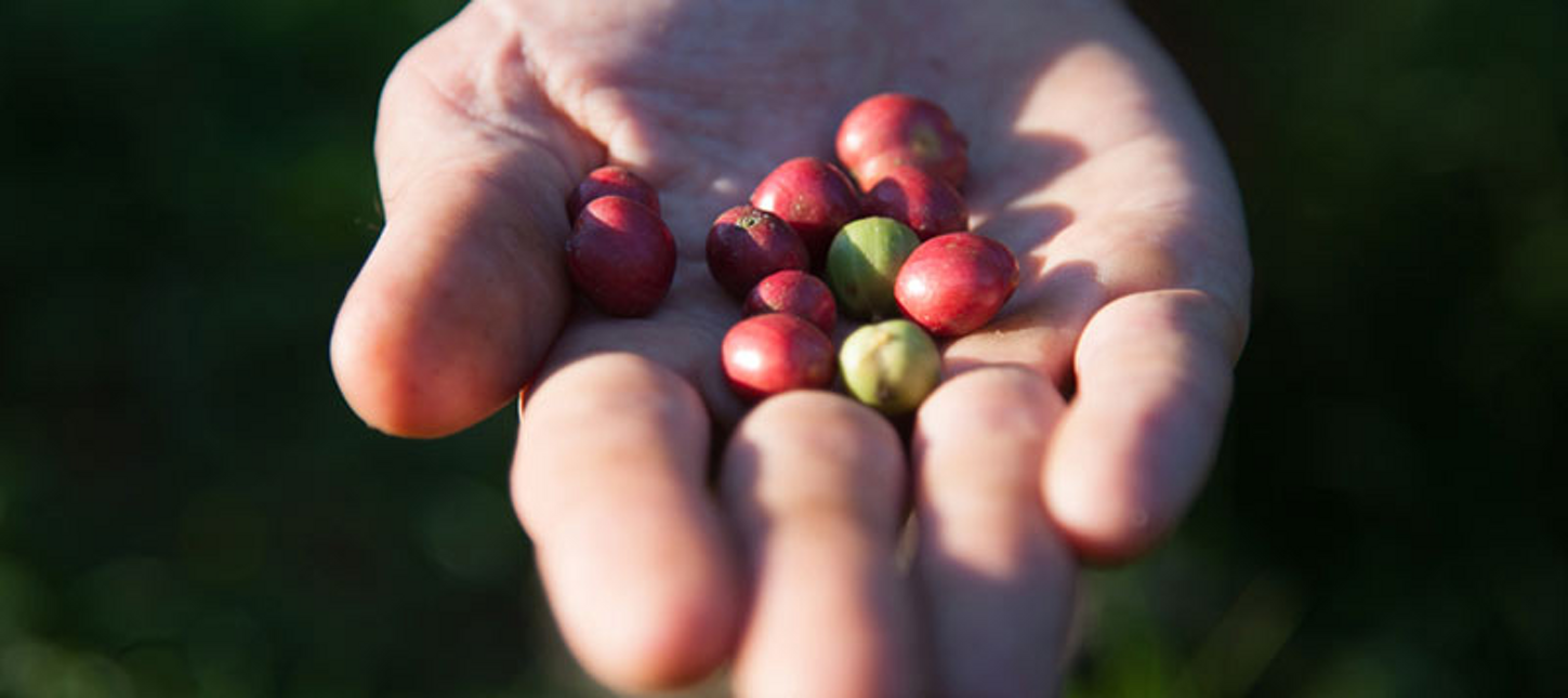 imgi_7_image imgi_7_image