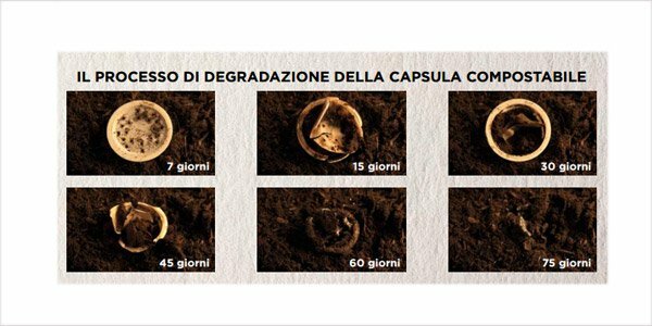 compostabilità-capsula-caffe.jpeg compostabilità-capsula-caffe.jpeg