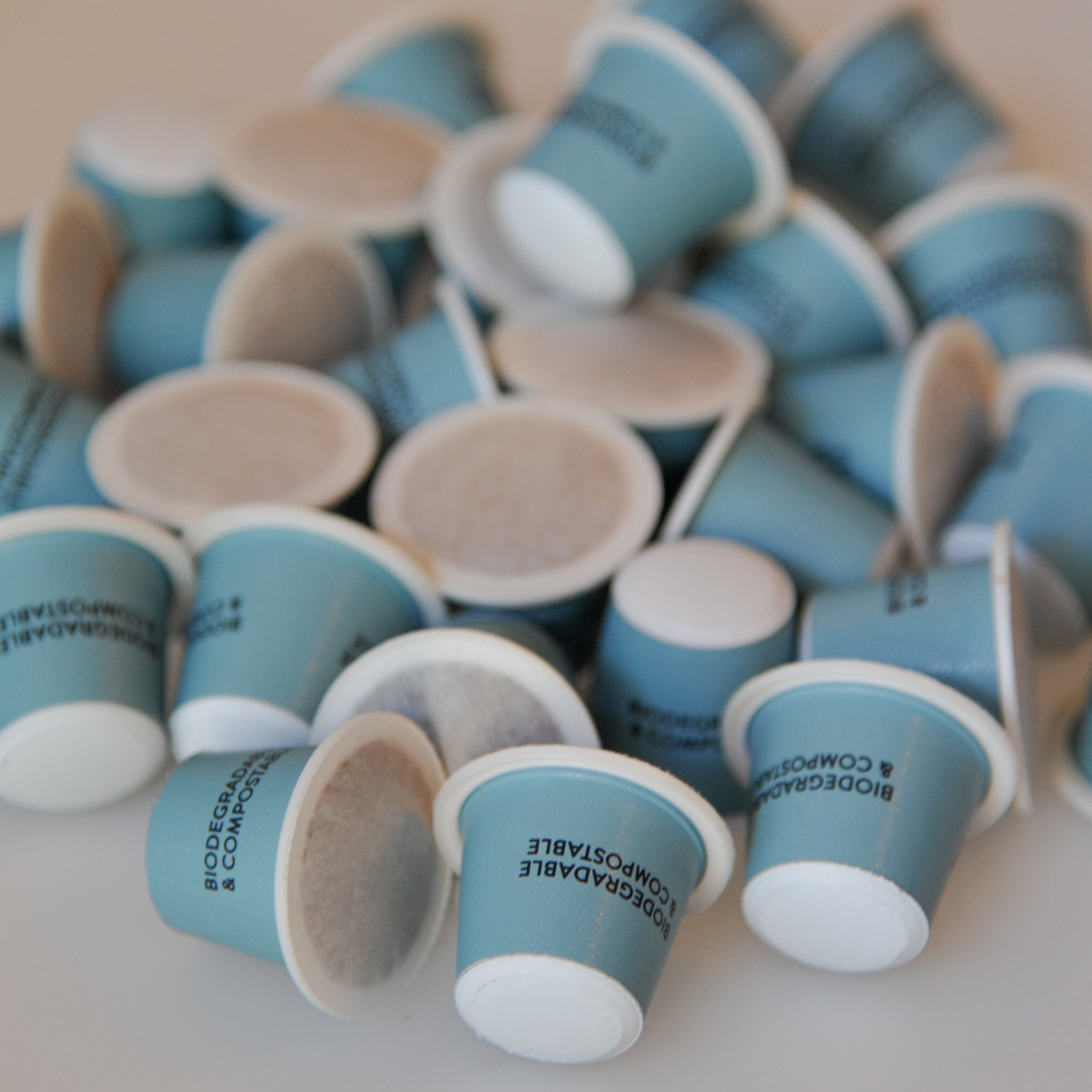 dsc_2058.jpeg dsc_2058.jpeg