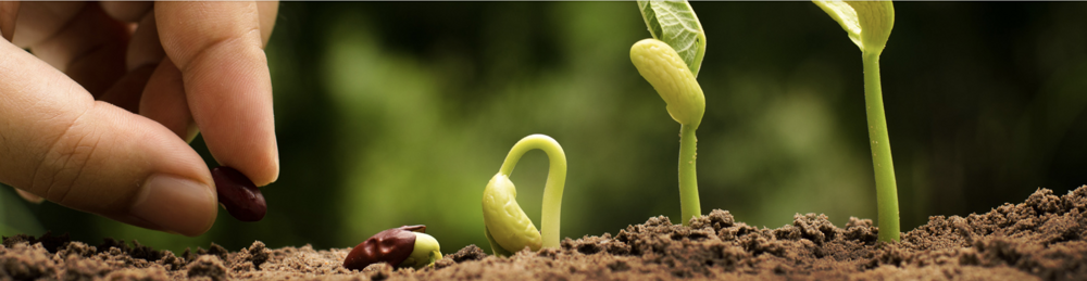 equocaffe sostenibile