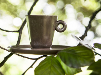 imgi_29_image imgi_29_image