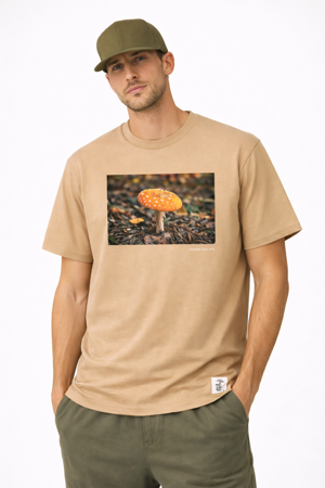 t-shirt-linea-funghi