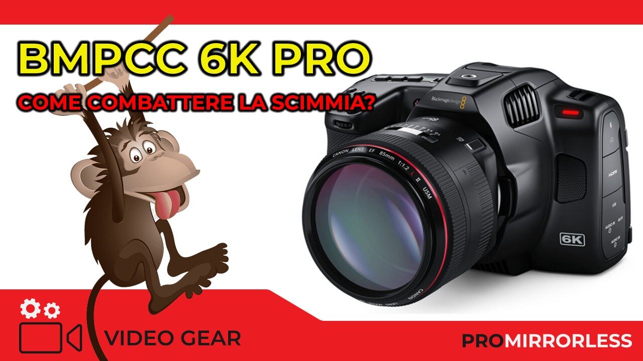 imgi_1_bmpcc-6k-pro_orig.jpeg imgi_1_bmpcc-6k-pro_orig.jpeg