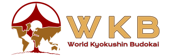 eyJpdCI6IkZlZGVyYXppb25lIFdLQiAtIFdvcmxkIEt5b2t1c2hpbiBCdWRva2FpIGEgY3VpIOggYWZmaWxpYXRvIGlsIEt5b2t1c2hpbmthaSBDYXRhbmlhIERvam8ifQ==