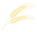 imgi_16_spighe-grano-png_1