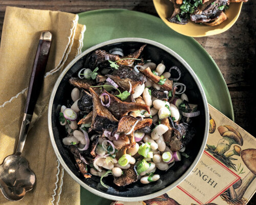 5f04df_17eaadd41b6e4ea091111a969748747a-mv2 5f04df_17eaadd41b6e4ea091111a969748747a-mv2