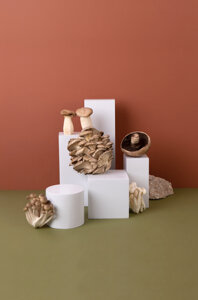 021683243f7a6a229a9020e0392c3f591fbcb6e4