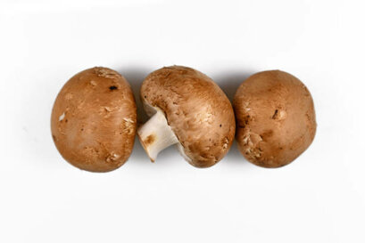 0383b576335e088f974c04cc289b77b85398e68b