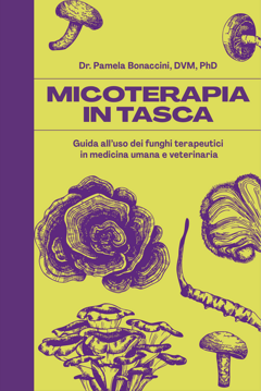 14817a9bd126125842ed129c2a25933ec6d1612d