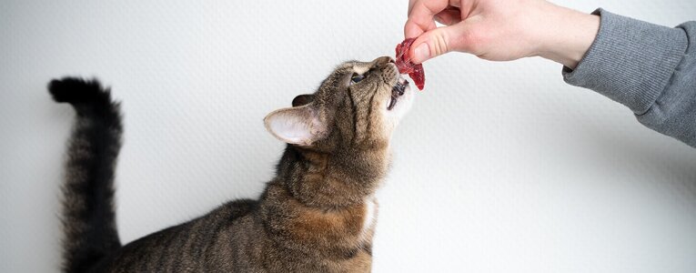 2f309c17f75896d143412c1d4def2a6ff0dad693