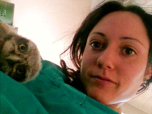 3678ccdd5c5b48b50ebe77a9efab08b4315dc18b