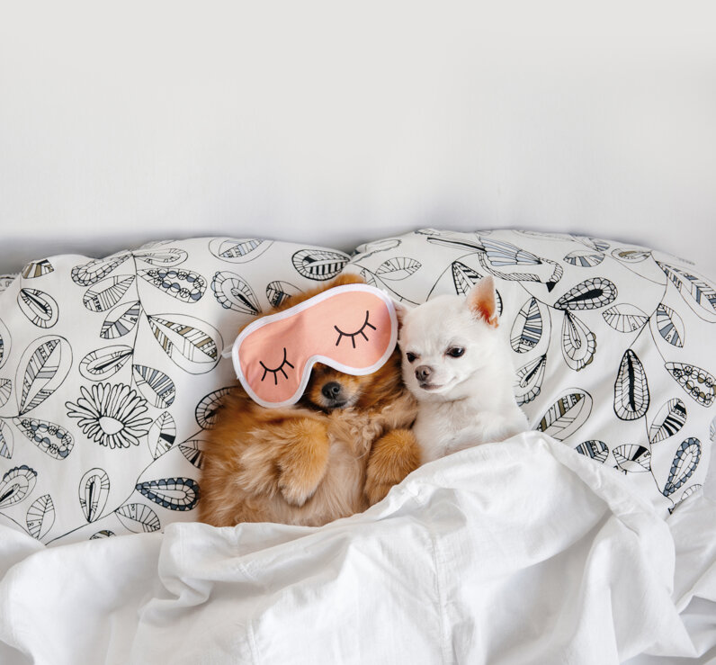 67d0b04da7d801774ea2218f5f7b7211b0de4511