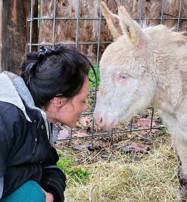 6f3c0e192794d244b9580f0b060754a98d4bf398