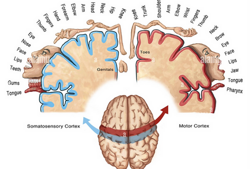 401898_6c323ac9d393403bbdb37061d1cf1243~mv2 401898_6c323ac9d393403bbdb37061d1cf1243~mv2