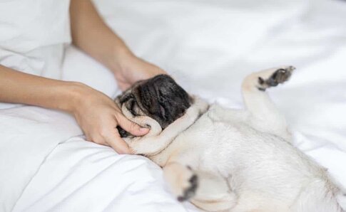 8100d7d76b5d006917283082a0e6c96ef63a753f 8100d7d76b5d006917283082a0e6c96ef63a753f