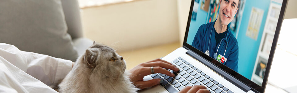 9031b457f17372ec85d2c245a6869918f8748709