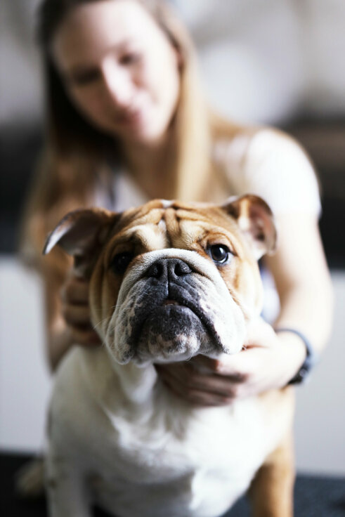 b611dc4fafada6c8aa073bc6327a50ec12f86e01