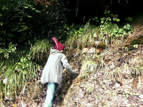 d753096e10592ac8cf743defad9d3f5d168d79a4