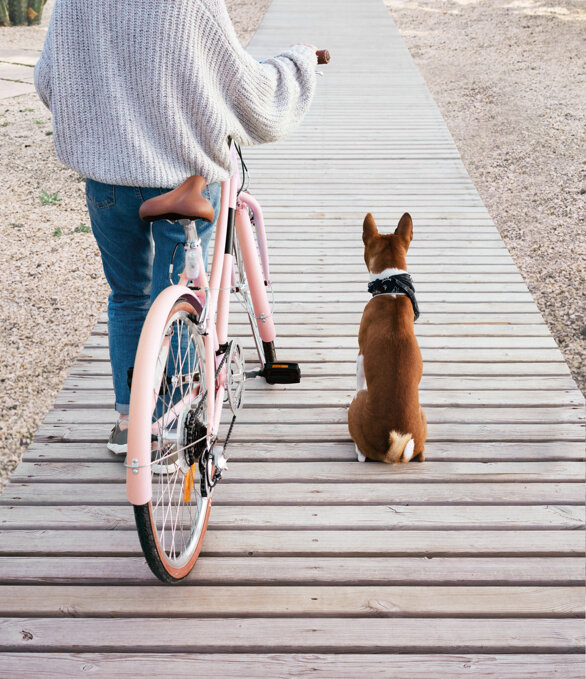 d9058e838b8799f857b186f96f71ff3747885045