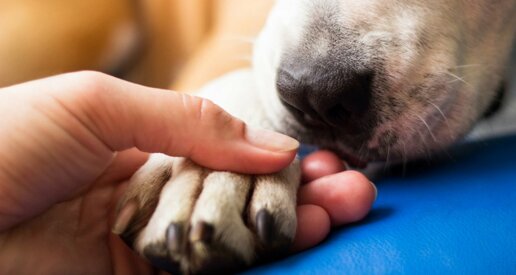 e1b00310606e8d28c35920843d60bd1a53b47f8e