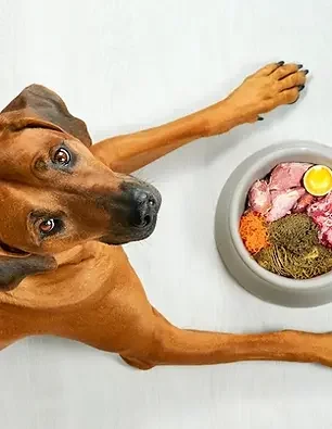 401898_1e6c6f1ed292486aa1d778441dd86af9~mv2