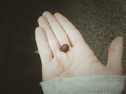 eef52249bdc856d08068a03519895eed3955dda8