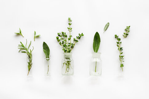 ef22cb0a07facbdf434e14ef68f9db9881a023be.jpeg ef22cb0a07facbdf434e14ef68f9db9881a023be.jpeg