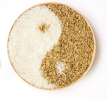 401898_cca1749ee8f749e98a87a4721a35ff86~mv2