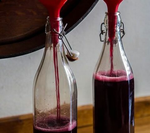vino-sfuso-valtidone-06.jpeg