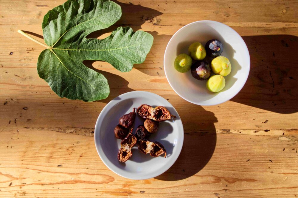 e54c3564d899a1f577e9e69da09cd3370985dc57 e54c3564d899a1f577e9e69da09cd3370985dc57