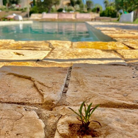 piscina piscina