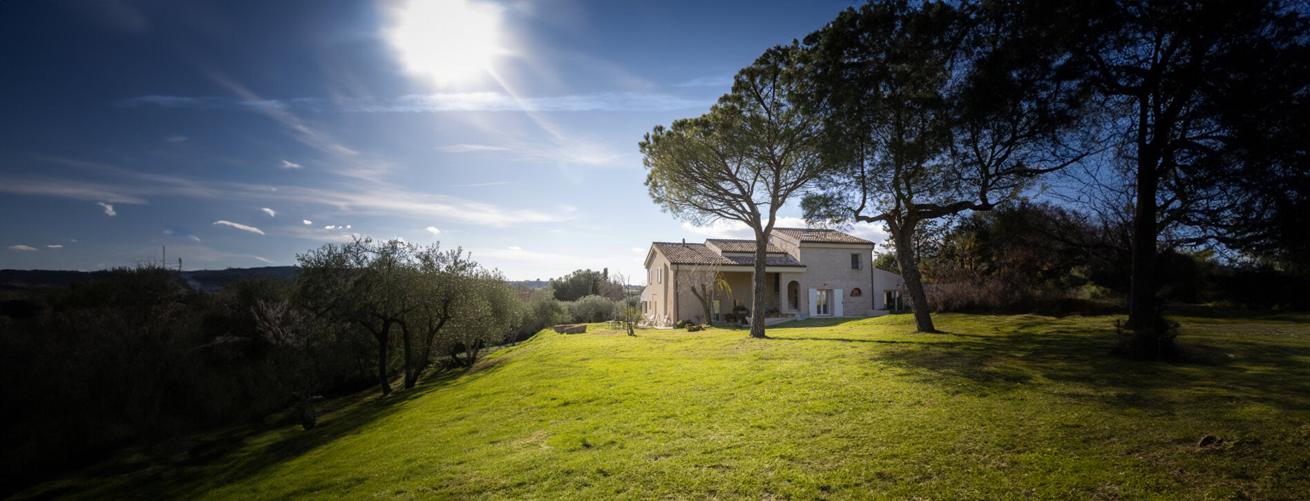 landscape no alberi pulita espansa.jpeg